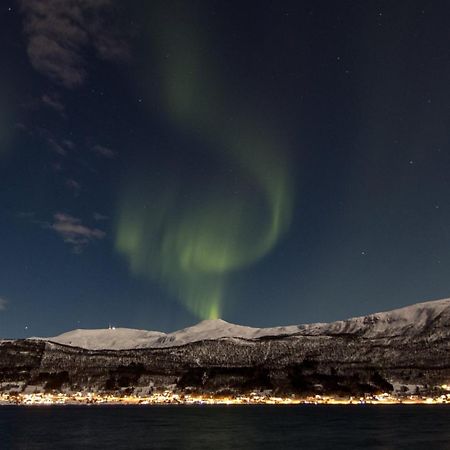 Veien Til Senja Apartment Finnsnes Bagian luar foto
